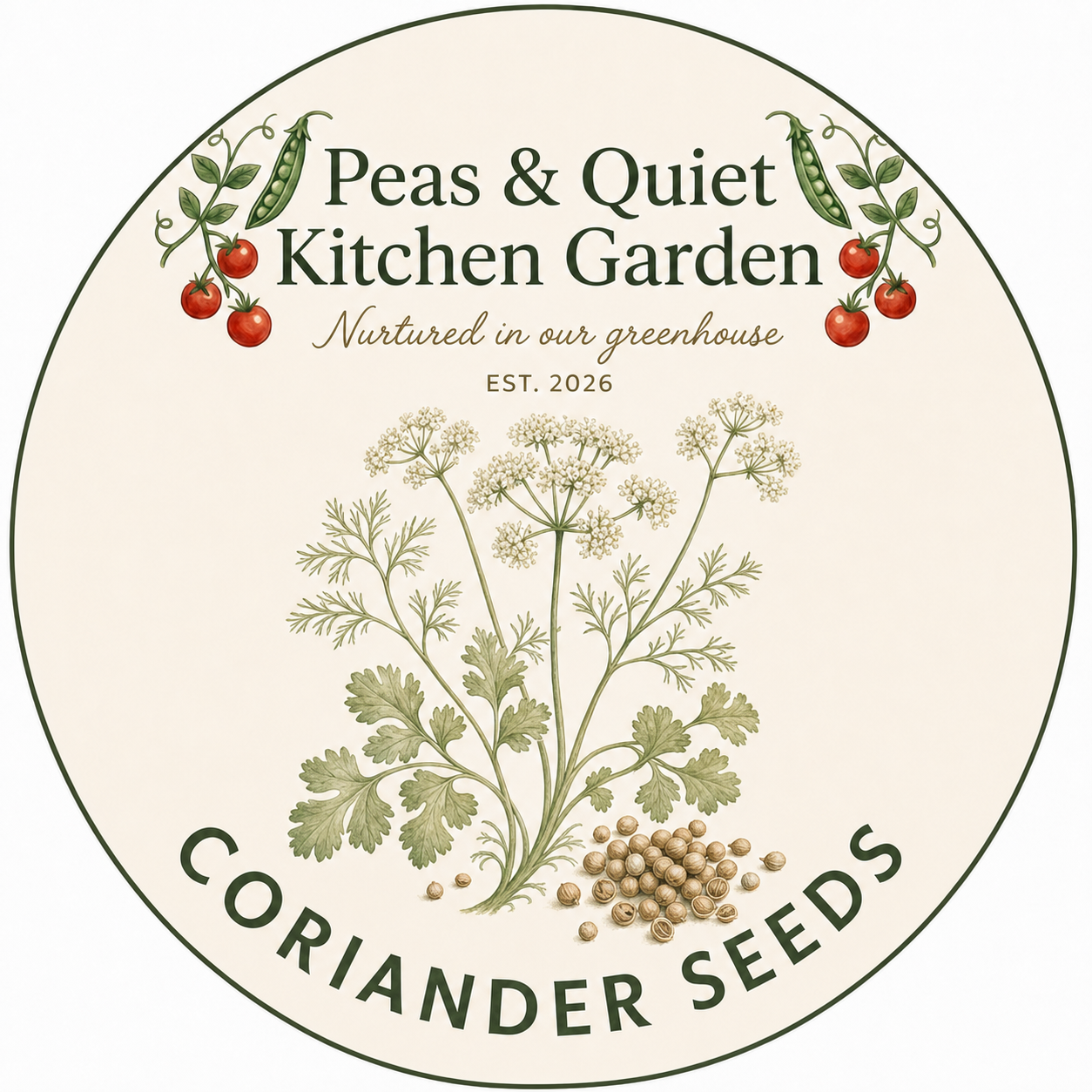 Coriander Seeds